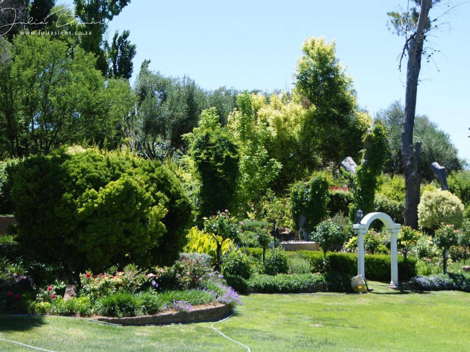 Villa Mieliefontein Karoo Guest Farm Hanover Road Exterior foto